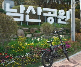 Exploring Seoul Tower by elect