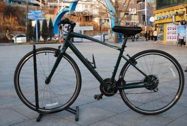 Specialized Serious(48)
