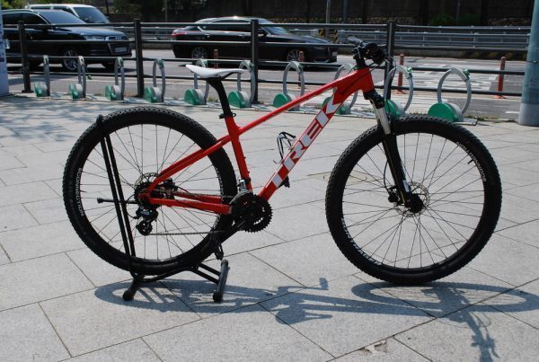 Trek Marlin(43)