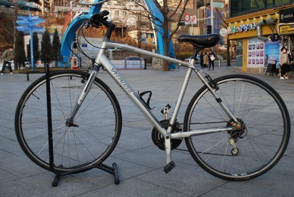 Specialized Serious(52)