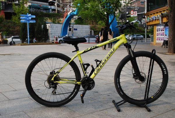 Cannondale(44)