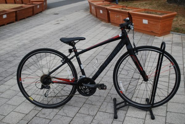 Specialized Serious(48)